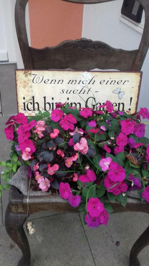 Fewo 2 Ferienwohnung Waren Mueritz - Haus Buchen Am Tiefwarensee - 2 Zi Exteriör bild